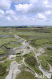 Nationaal Park Duinen van Texel 