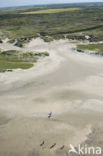 Nationaal Park Duinen van Texel 