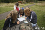 Nationaal Park Dwingelderveld