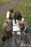 National Park Dwingelderveld