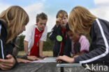 Nationaal Park Dwingelderveld