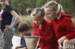 Nationaal Park Dwingelderveld