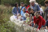 Nationaal Park Dwingelderveld