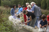 Nationaal Park Dwingelderveld