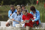 National Park Dwingelderveld
