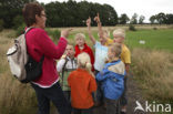 National Park Dwingelderveld