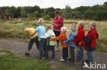 Nationaal Park Dwingelderveld