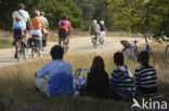 National Park Loonse en Drunense Duinen