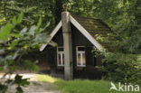 National Park Sallandse Heuvelrug