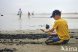 Northsea beach