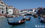 Rialto bridge