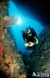 Similan Islands National Marine Park