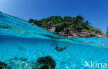 Similan Islands National Marine Park