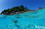 Similan Islands National Marine Park