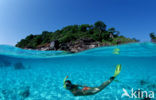 Similan Islands National Marine Park