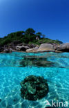 Similan Islands National Marine Park