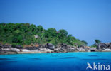 Similan Islands National Marine Park