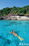 Similan Islands National Marine Park