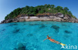 Similan Islands National Marine Park