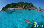 Similan Islands National Marine Park