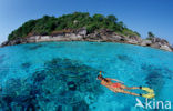 Similan Islands National Marine Park