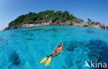 Similan Islands National Marine Park