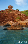 Similan Islands National Marine Park