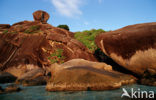 Similan Islands National Marine Park