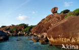 Similan Islands National Marine Park