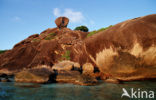 Similan Islands National Marine Park