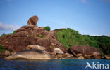 Similan Islands National Marine Park