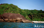 Similan Islands National Marine Park