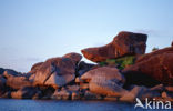 Similan Islands National Marine Park