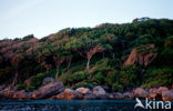 Similan Islands National Marine Park