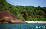 Similan Islands National Marine Park