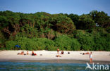 Similan Islands National Marine Park