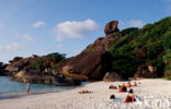 Similan Islands National Marine Park