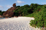 Similan Islands National Marine Park