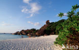 Similan Islands National Marine Park