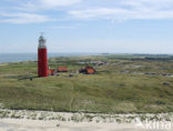 Vuurtoren Eierland