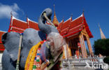 Wat Phra Thong