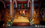 Wat Phra Thong