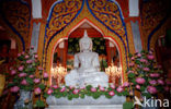 Wat Phra Thong