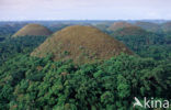 Chocolate Hills