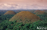 Chocolate Hills