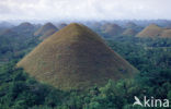 Chocolate Hills