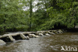 Exmoor National Park