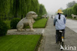 Ming Tombs