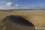 Nationaal Park De Hoge Veluwe