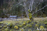 Nationaal Park Hohe Tauern